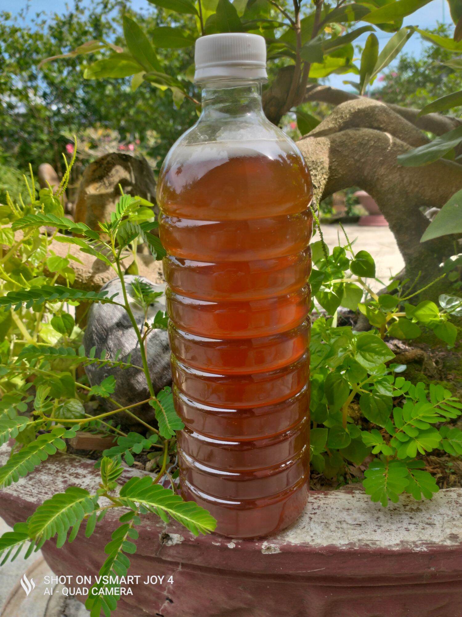 Mật ong rừng 100% tự nhiên