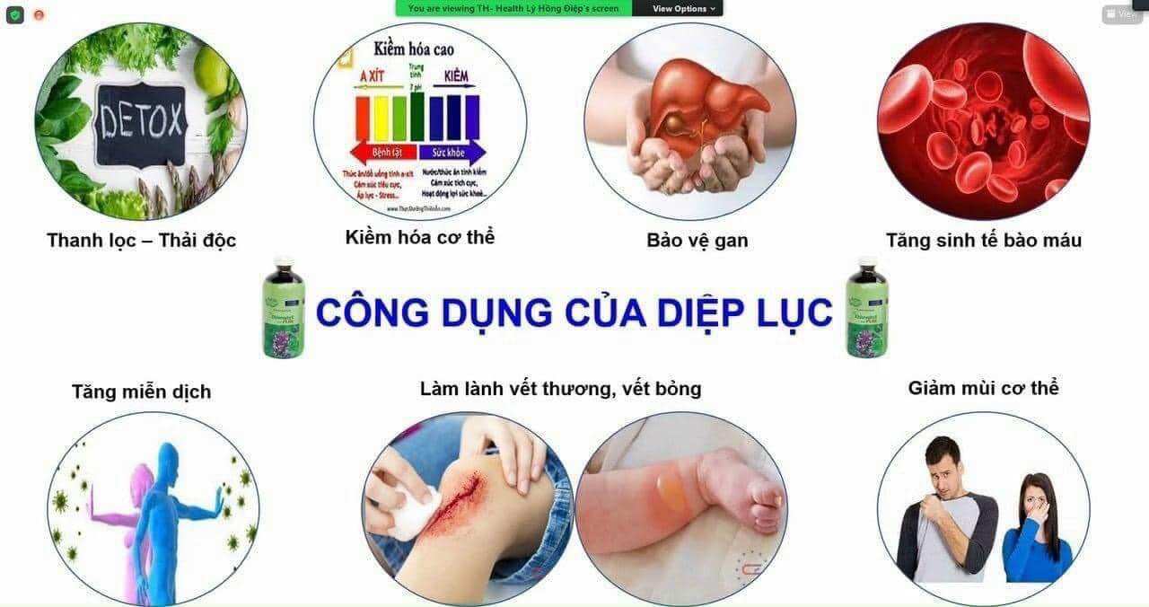 🌳🌳🌳Diệp lục TH Health - Cho mùa hè thanh mát