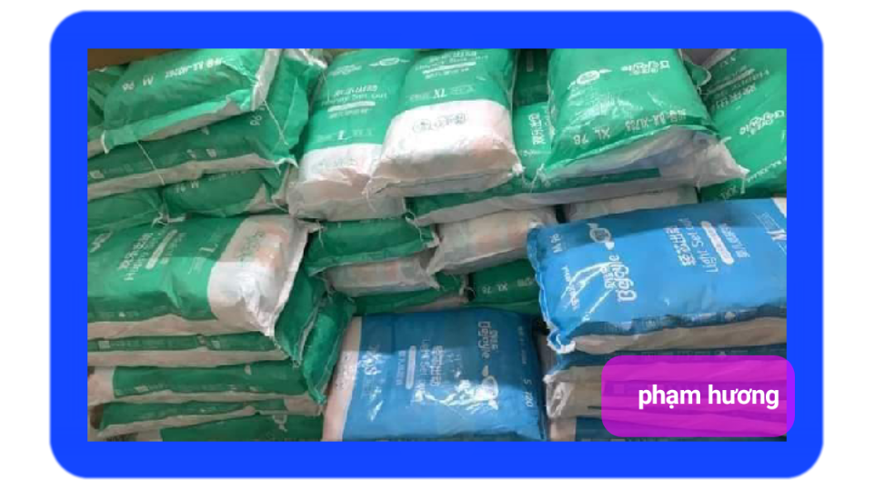 Bỉm Bejoyle xanh nội địa trung đủ size