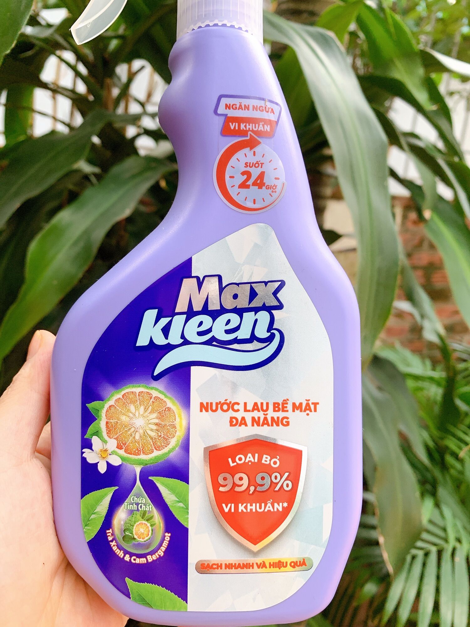 Nước Lau Bề Mặt Đa Năng MaxKleen 520ml