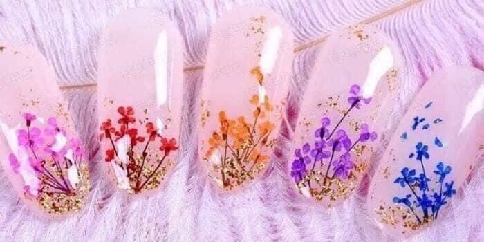 Hoa khô nail, hoa khô ẩn móng