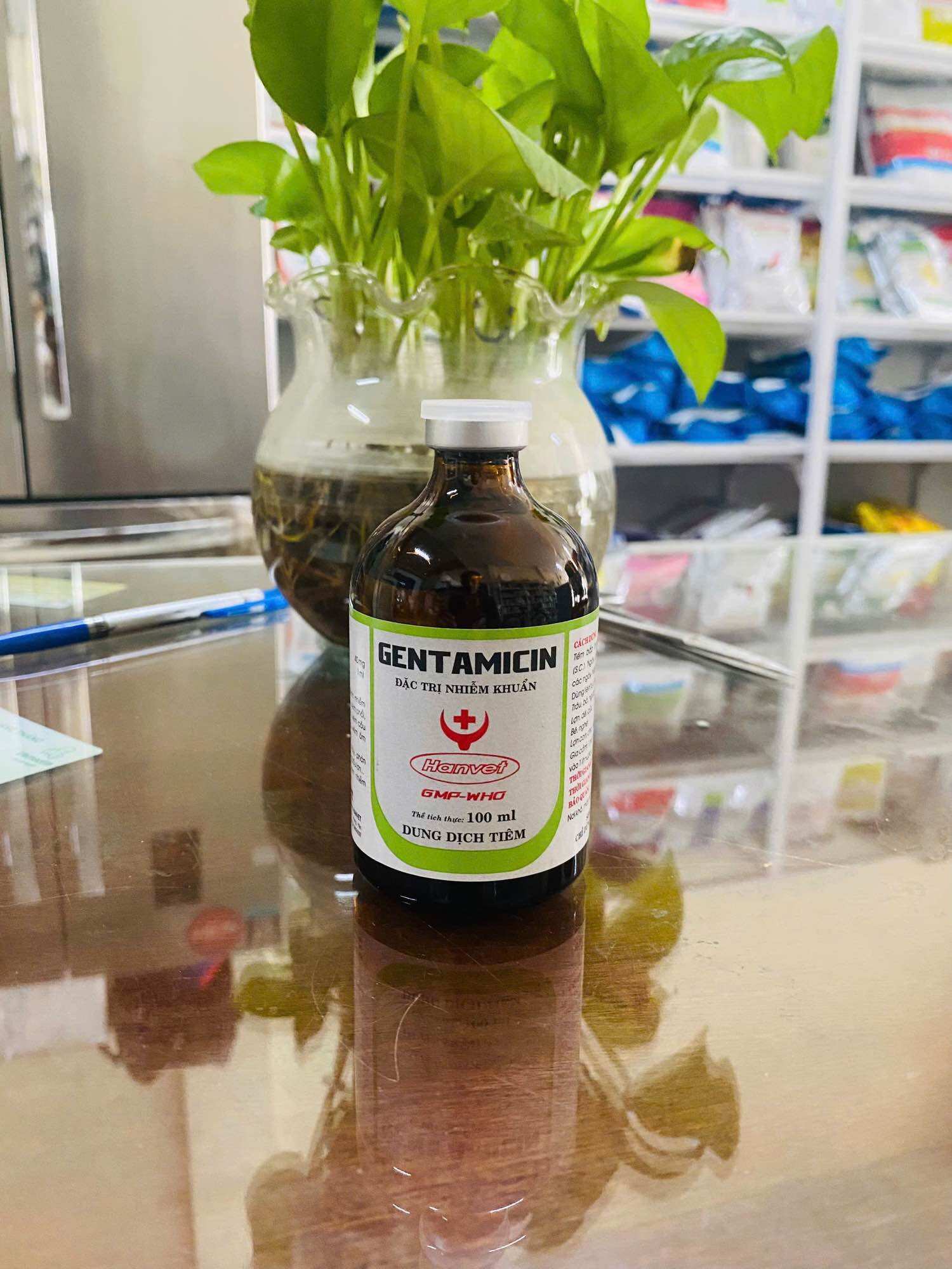 GENTAMICIN (100ml) hanvet_ chỉ dùng trong thú y