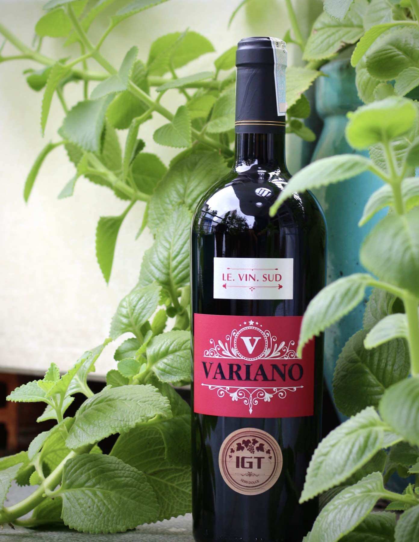 (Hộp miễn phí) Rượu vang ngọt Ý VARIANO SEMI DOLCE