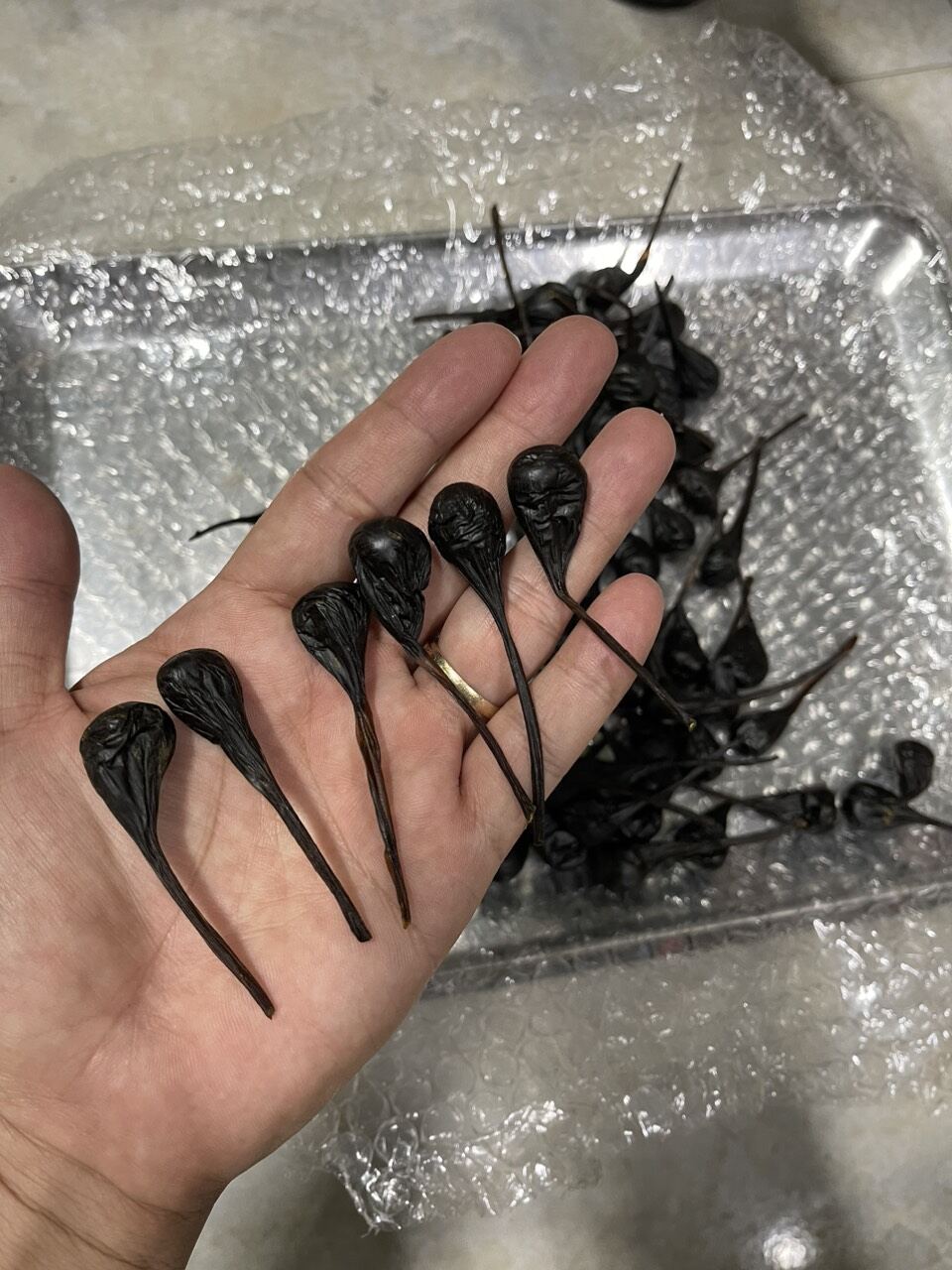 Mật kỳ đà khô