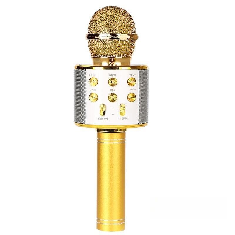 Loa bluetooth karaoke không dây có micro sạc di động thay đổi giọng nói cho trẻ em hát vui vẻ