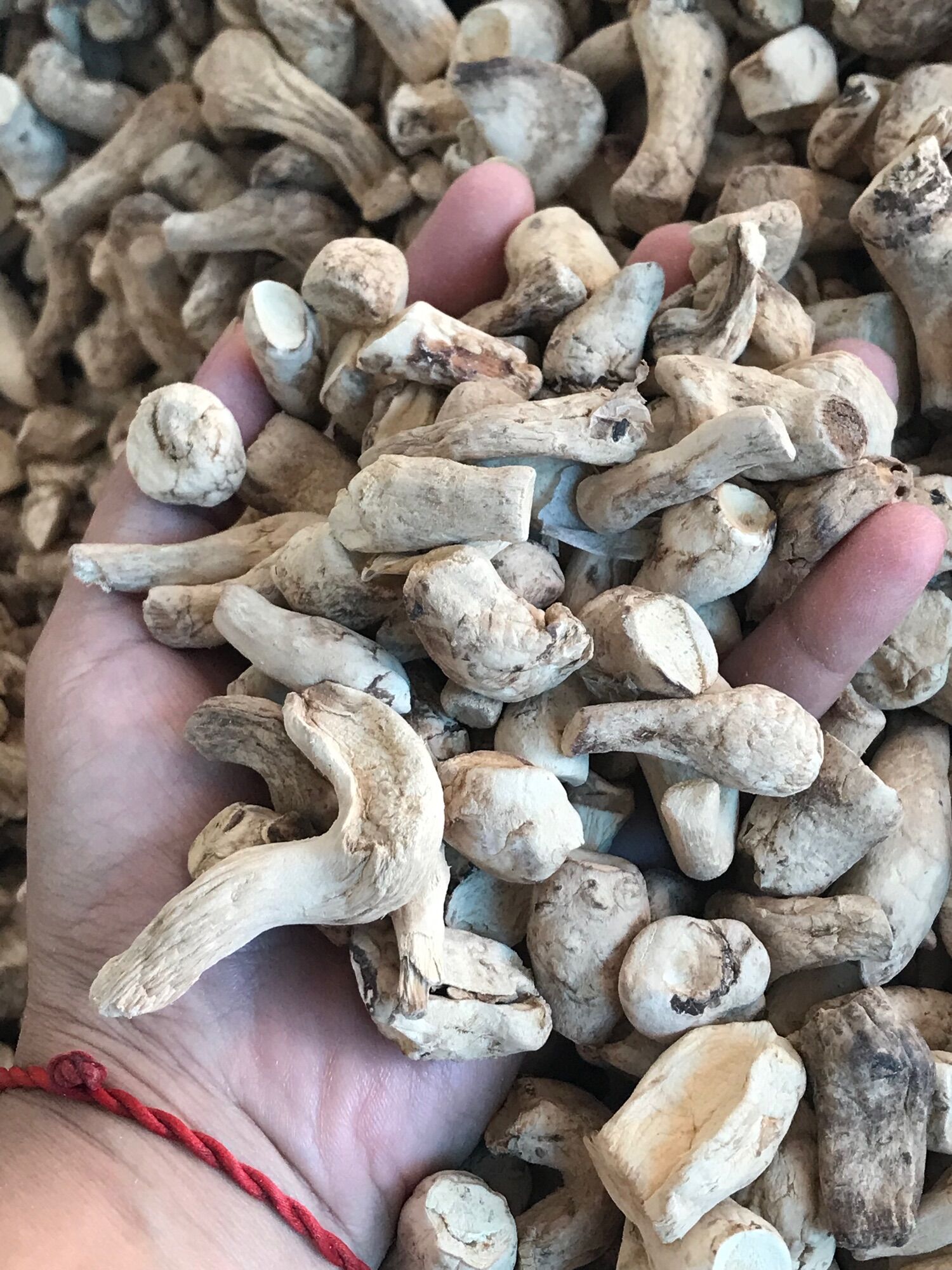 CHÂN NẤM HƯƠNG KHÔ 1kg