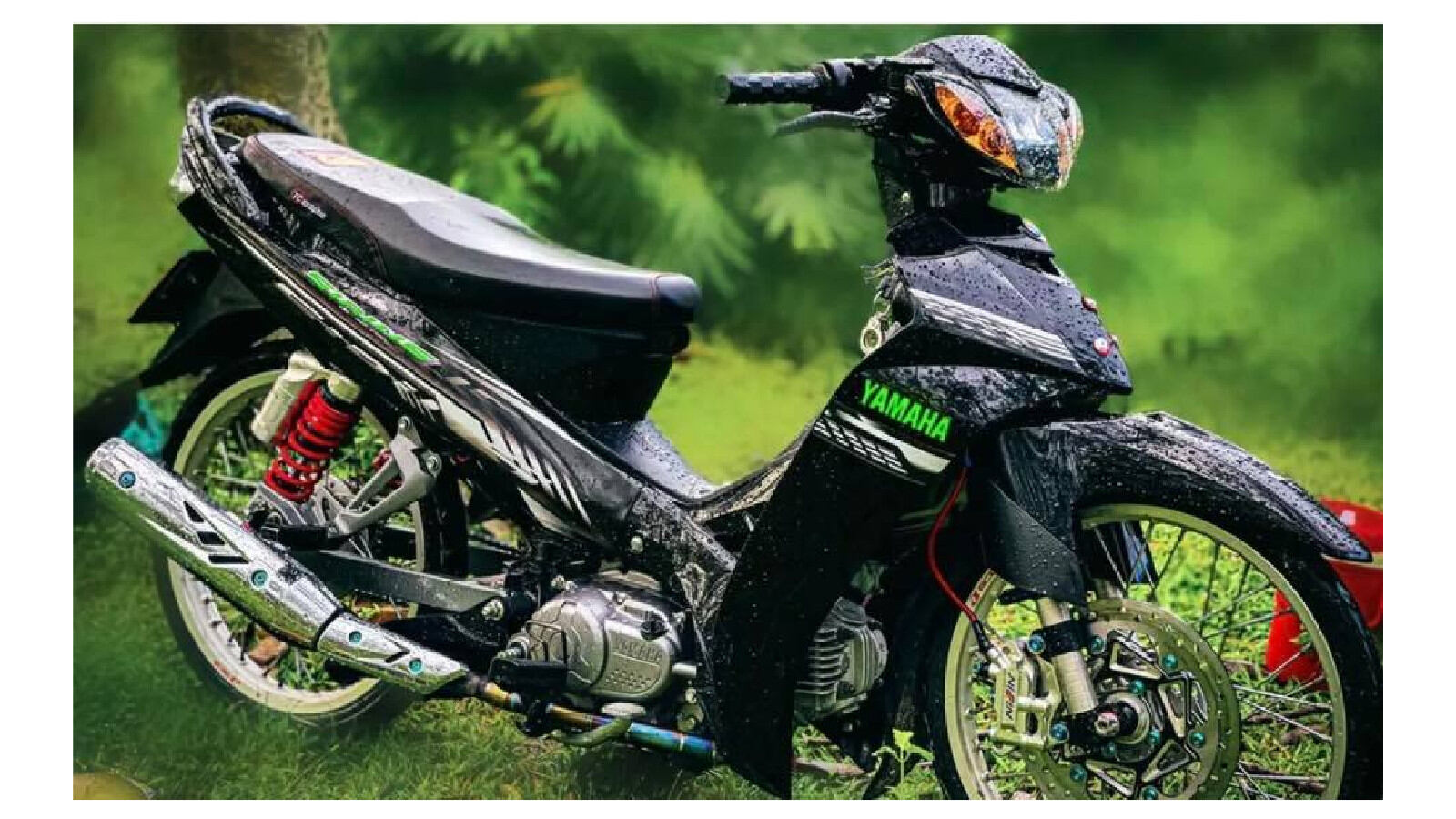 Tem sirius trắng đen kết hợp chữ xanh tặng kèm logo trang trí