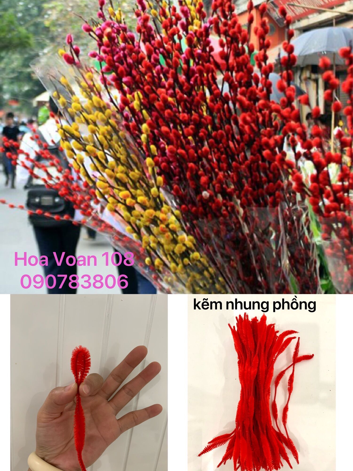 Nụ Tầm Xuân /kẽm nhung phồng (1 bó 90-100 sợi)