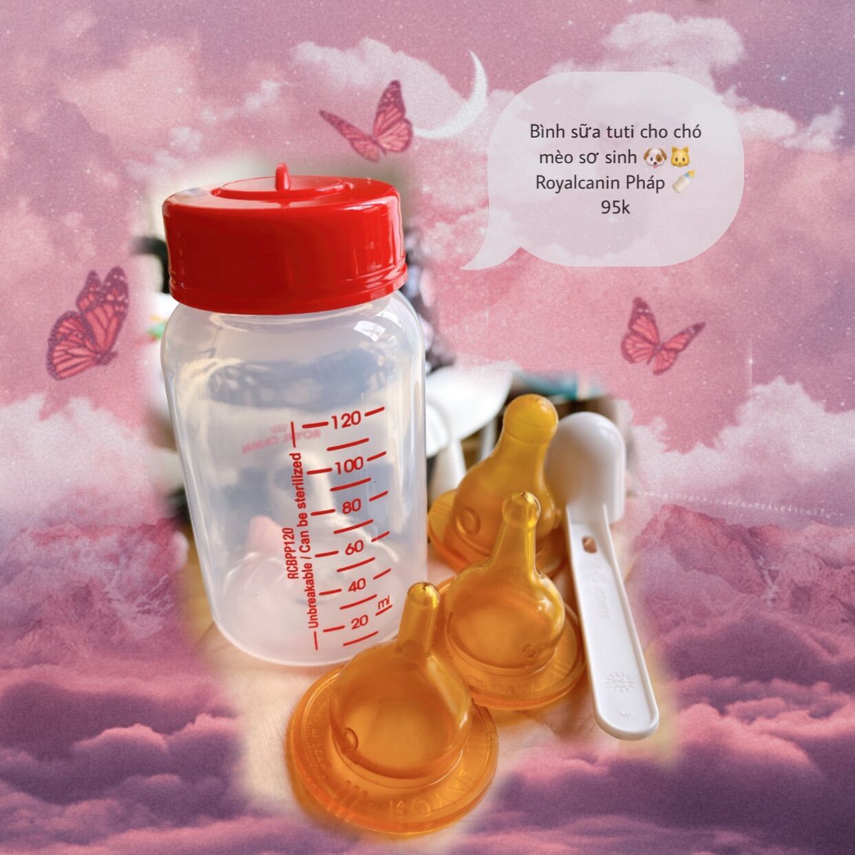 Bình sữa cho Chó Mèo sơ sinh 🍼 bình tuti cao cấp RoyalCanin