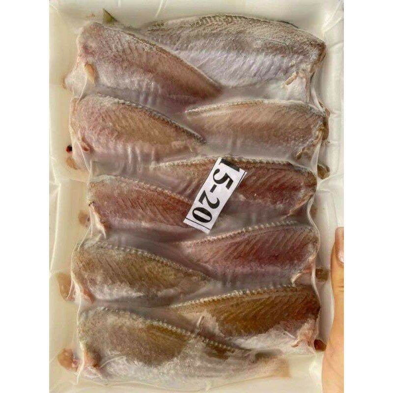500gr/vỉ Cá Đù 1 nắng [size 15-30con/kg] (ship hỏa tốc TpHCM)