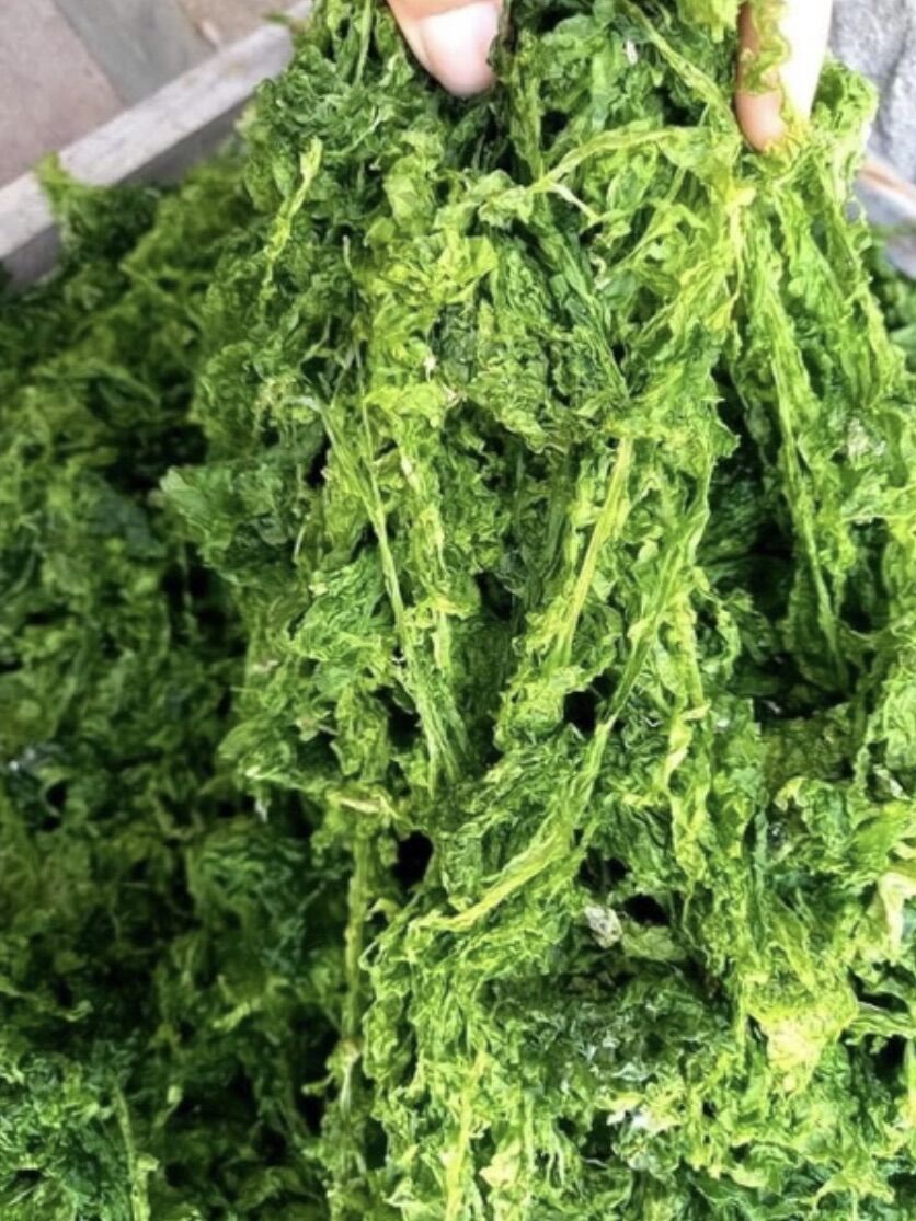 Rong biển xà lách tự nhiên_500gr