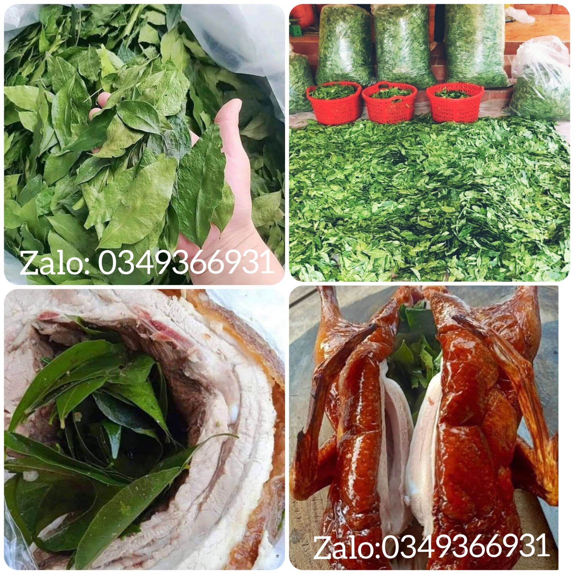 Lá Mắc Mật Khô Lạng Sơn