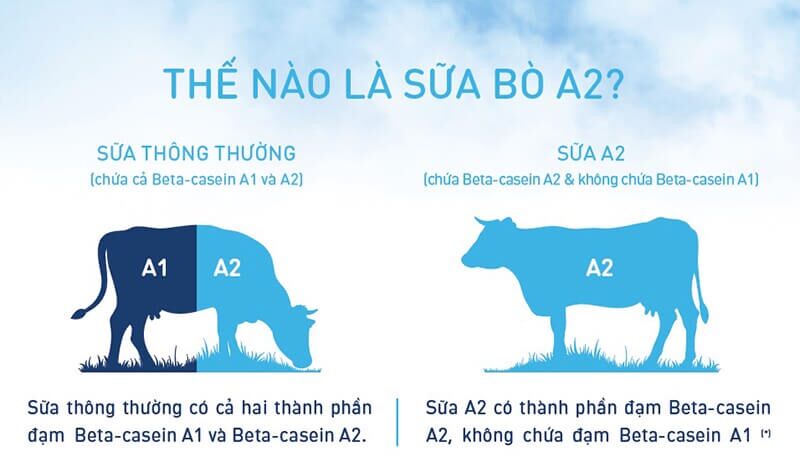 [SHIP GRAB NHANH 2H HCM]Sữa Bột Nguyên Kem A2 Nội Địa Úc