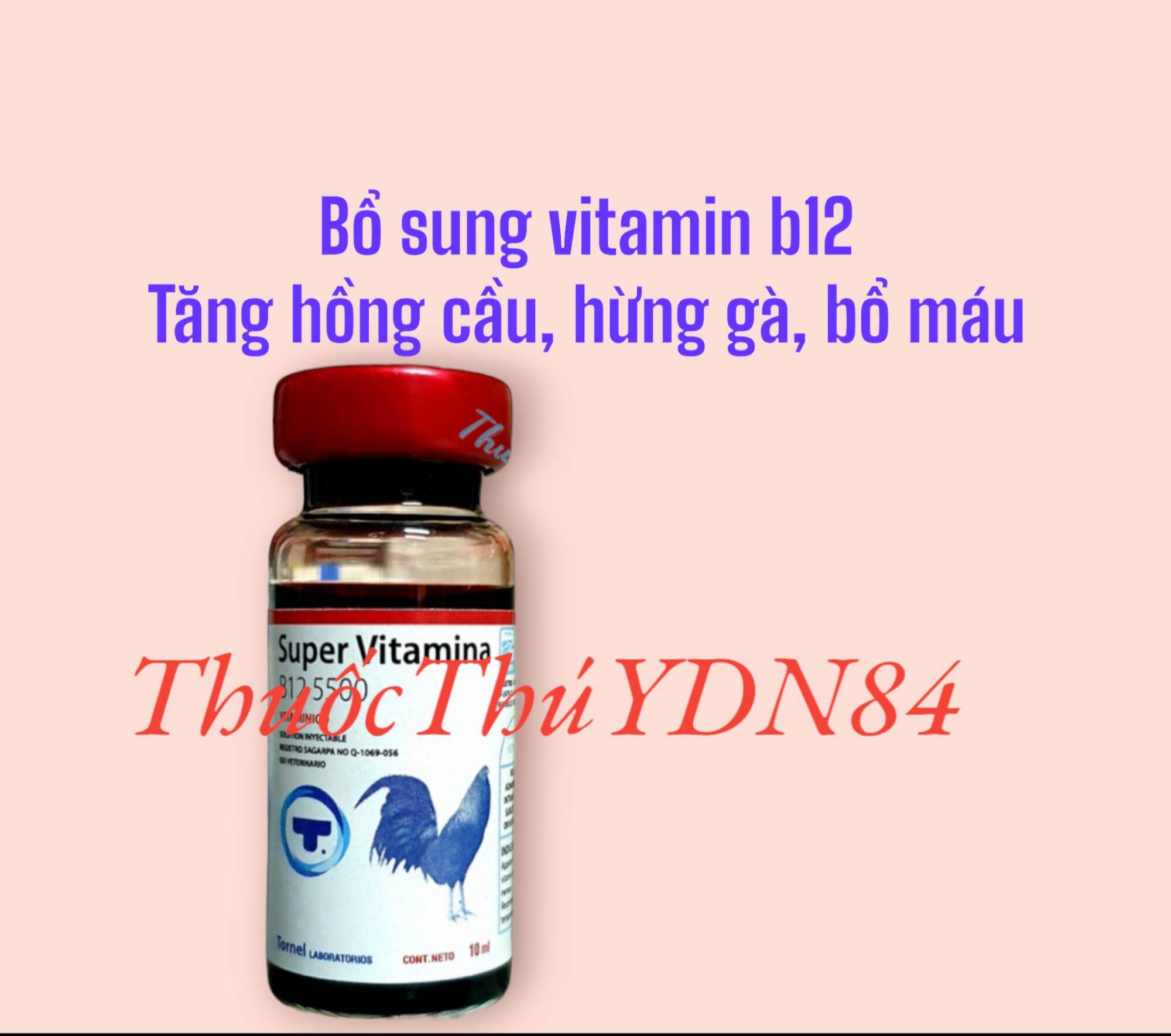 Super vitamina b12 5500 lọ 10ml -tornel - b12 cao cấp, tăng nước máu, tăng bo gà đá