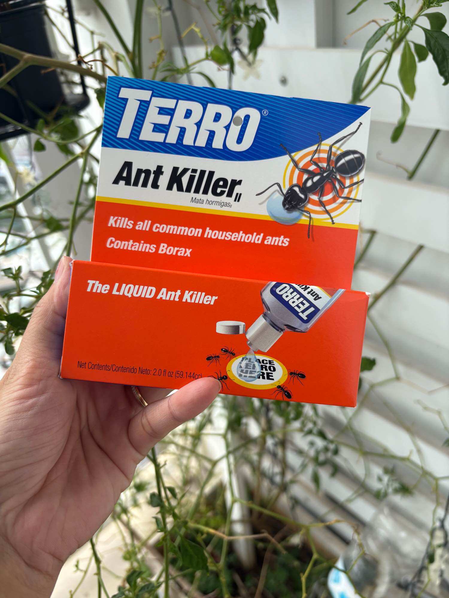 Dung dịch diệt kiến Terro T200 -59ml Mỹ