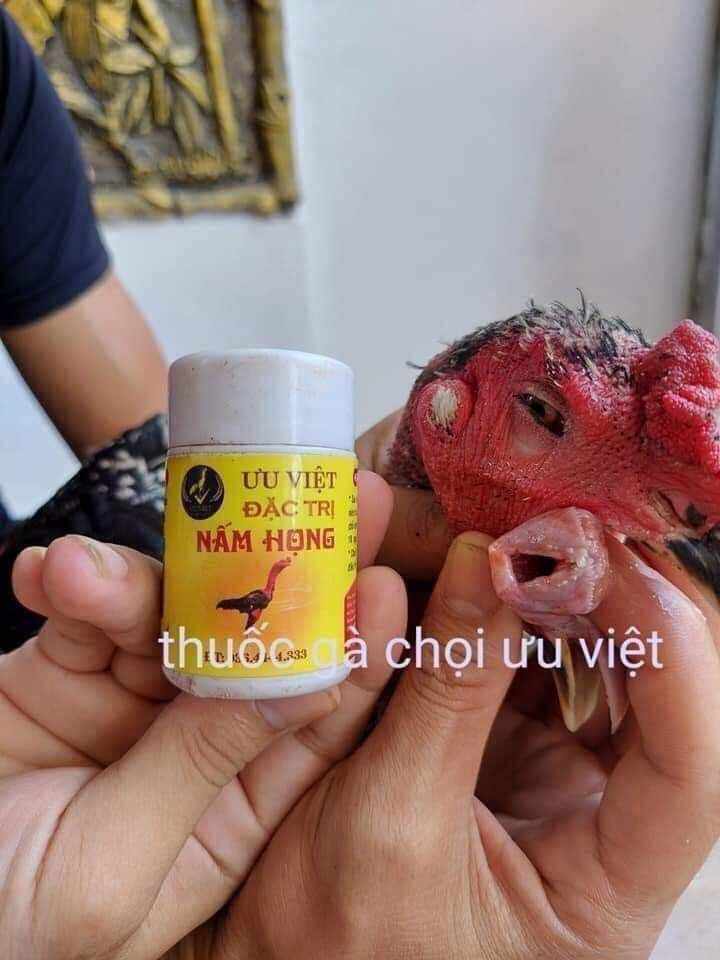 thuốc nấm Họng ưu việt