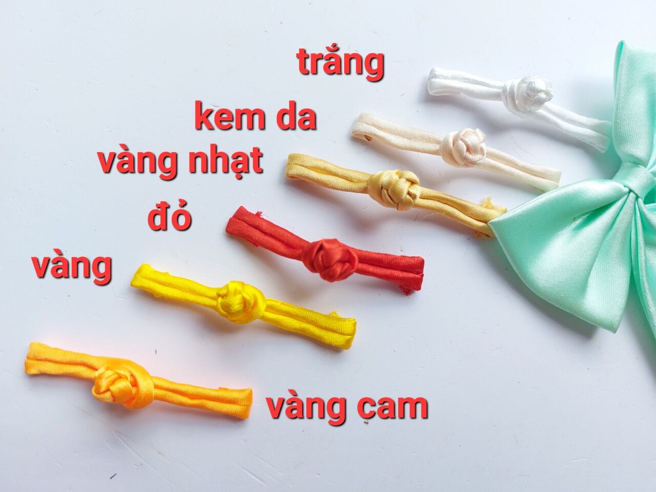 Cúc tàu dạng cây với nhiều màu