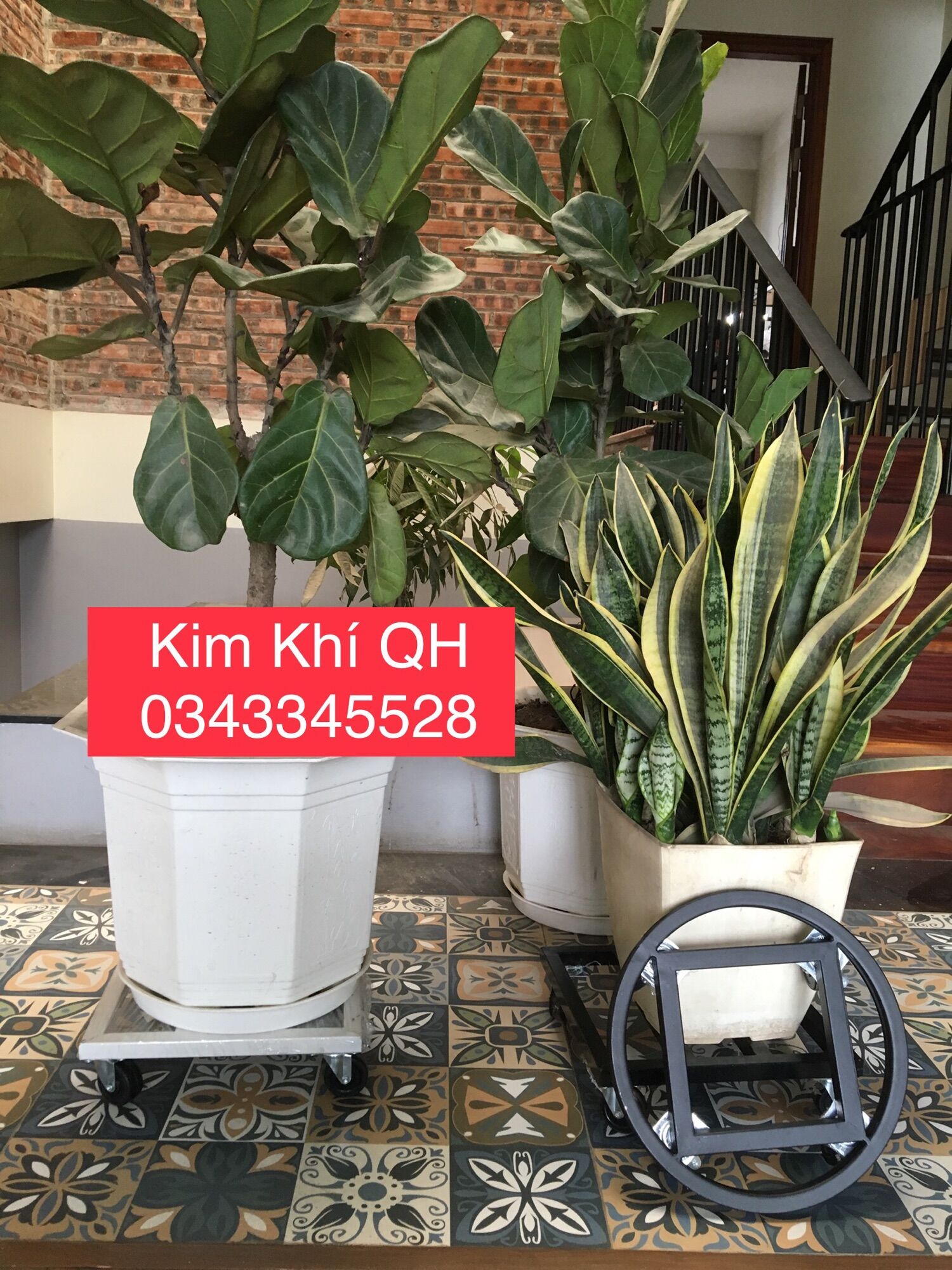Giá Đỡ Chậu Cây tiện lợi giá rẻ