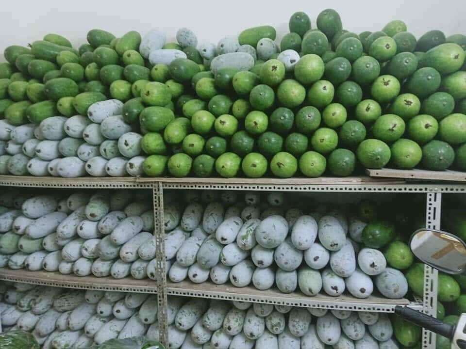 Trà Bí Đao Khô Sao Vàng 500g ( Tặng 30g lá dứa thơm khô)