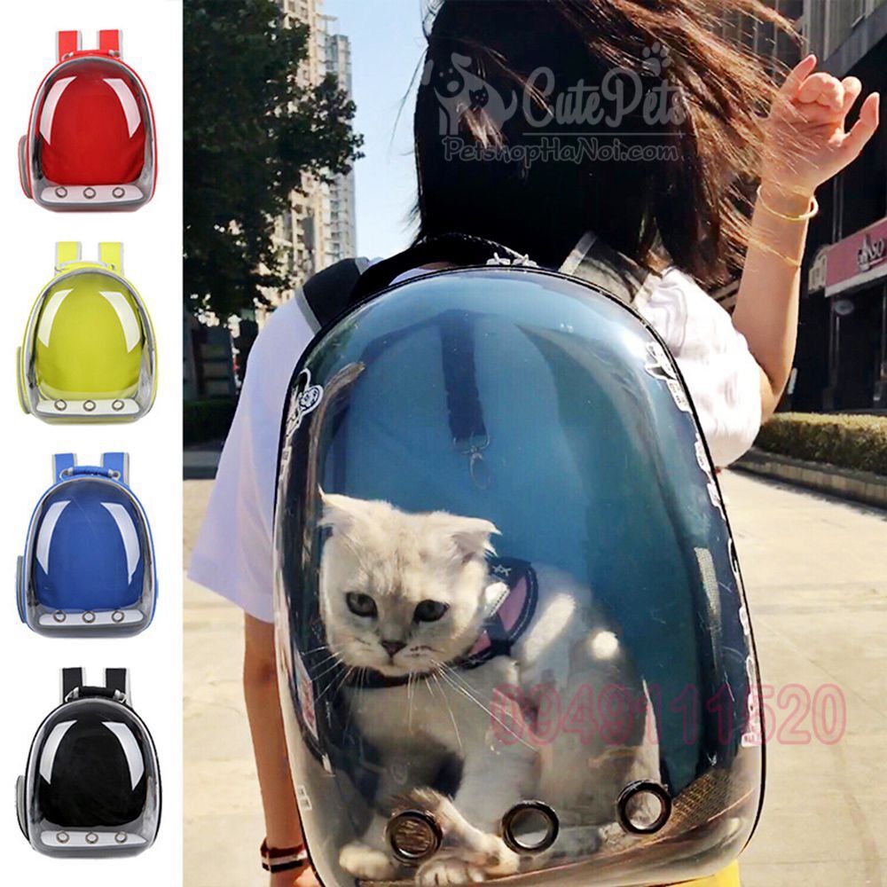 Ba lô vận chuyển chó mèo trong suốt