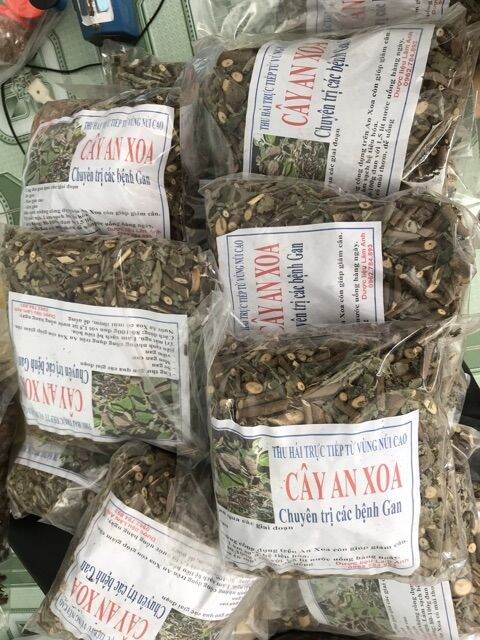 Combo 3kg cây an xoa