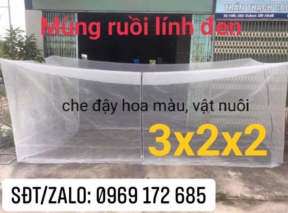 Mùng lưới nuôi cào cào châu chấu