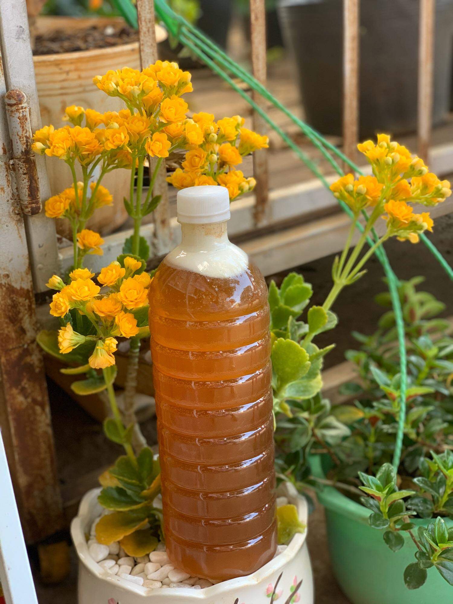 1 Lít Mật Ong Hoa Cà phê