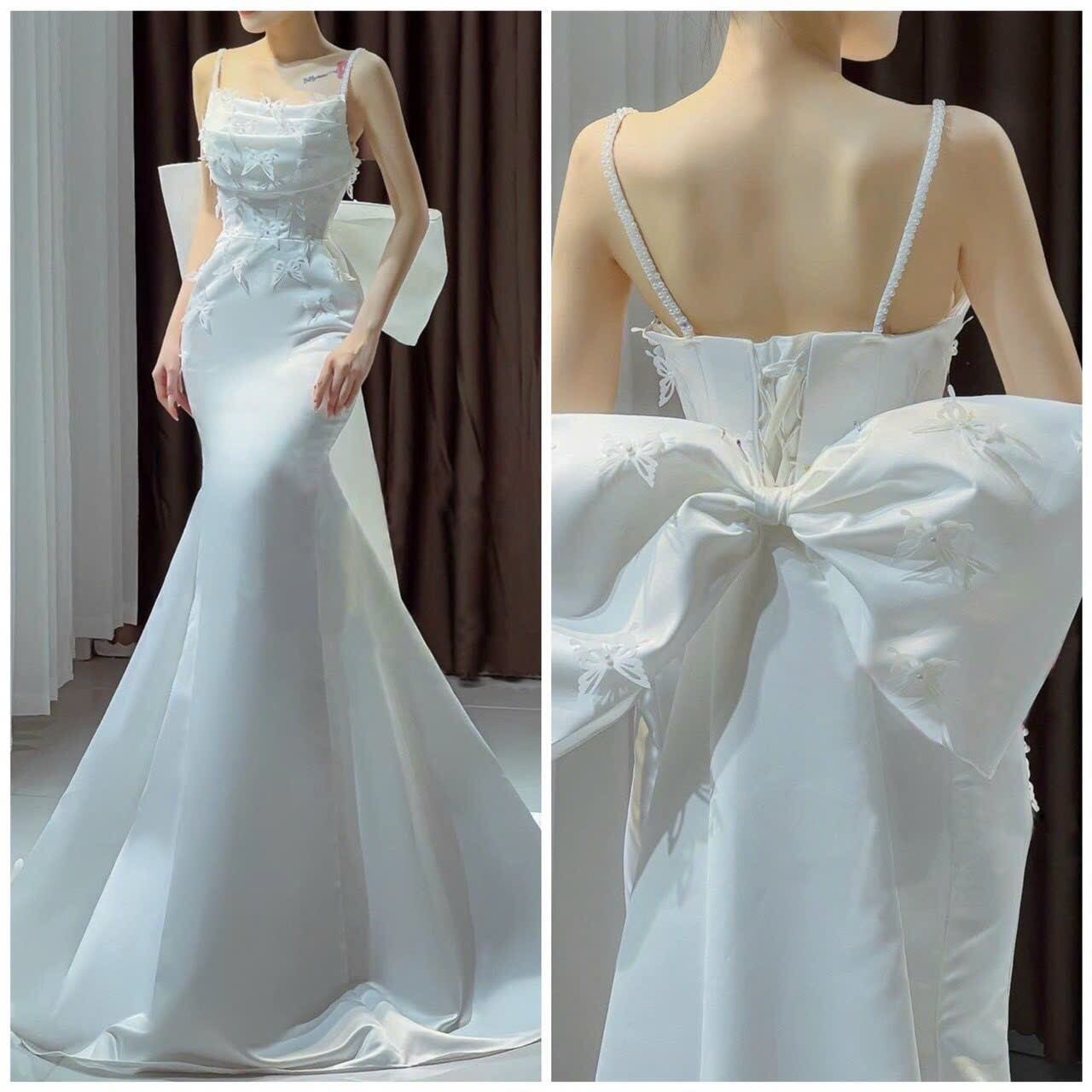 ĐẦM ĐUÔI CÁ NƠ LƯNG ĐÍNH BƯỚM