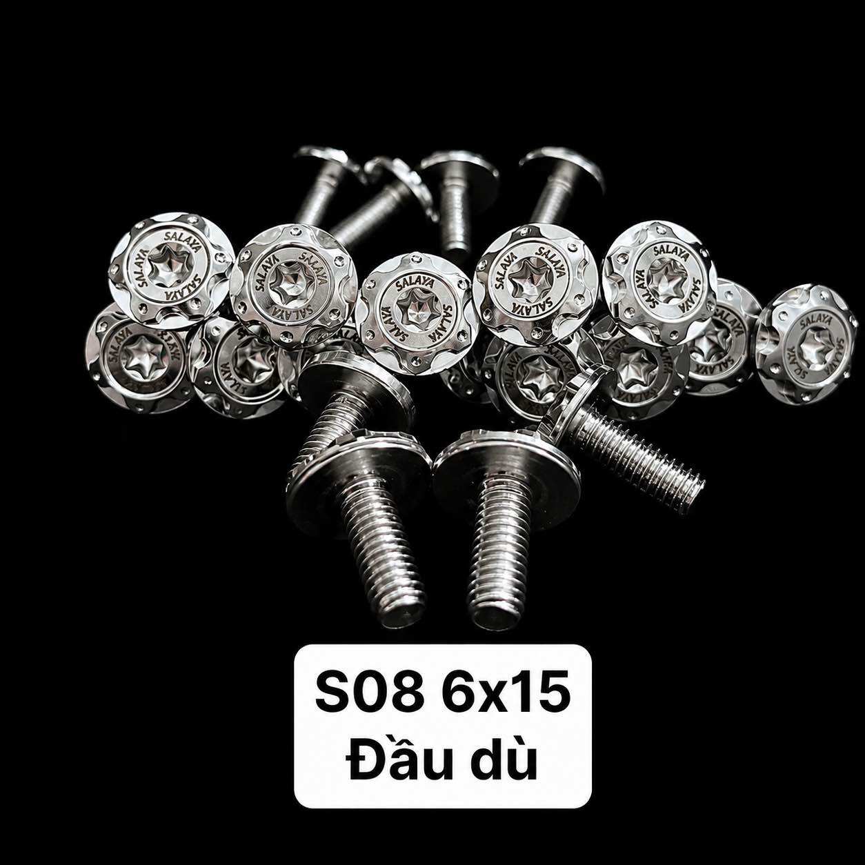 Combo 2 Ốc inox SALAYA mẫu S08 khắc logo dòng cao cấp nhất trên thị trường gắn dàn áo xe máy