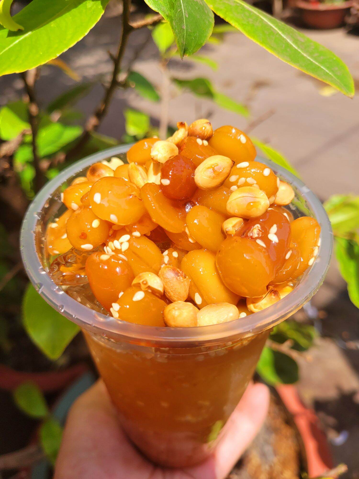 Hạt me sấy khô sạch làm đá me 1kg
