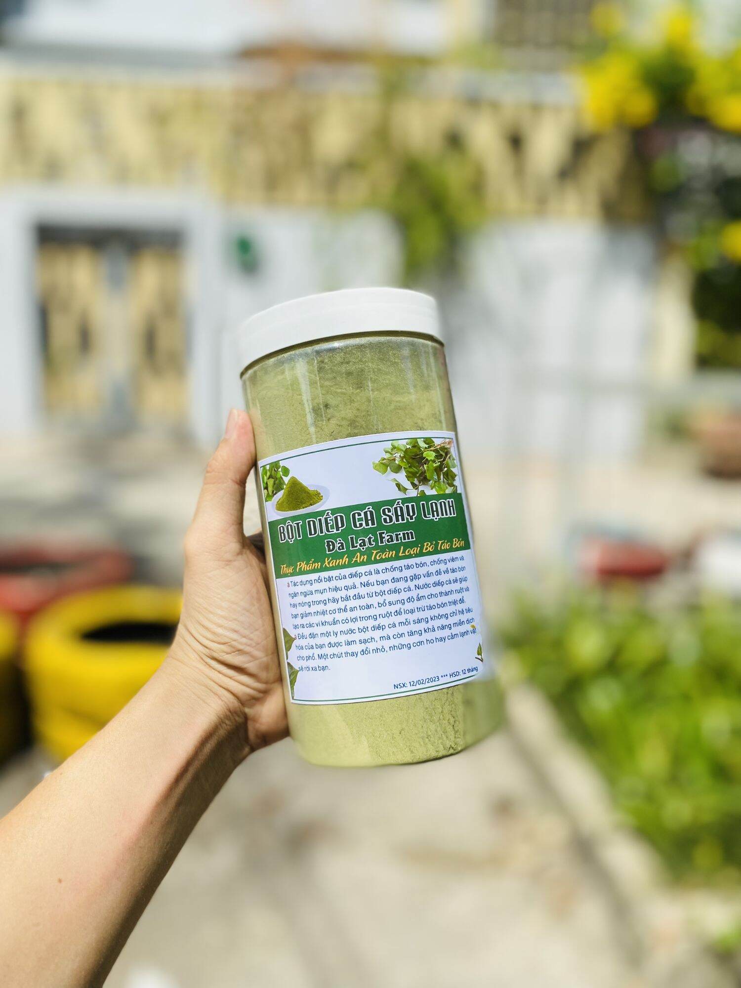 Bột diếp cá sấy lạnh hũ 500 gram