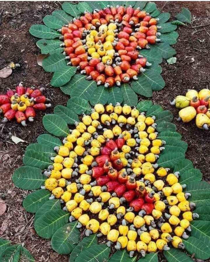 Hạt điều rang muối