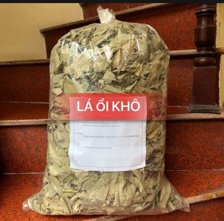 trà giảm cân lá ổi