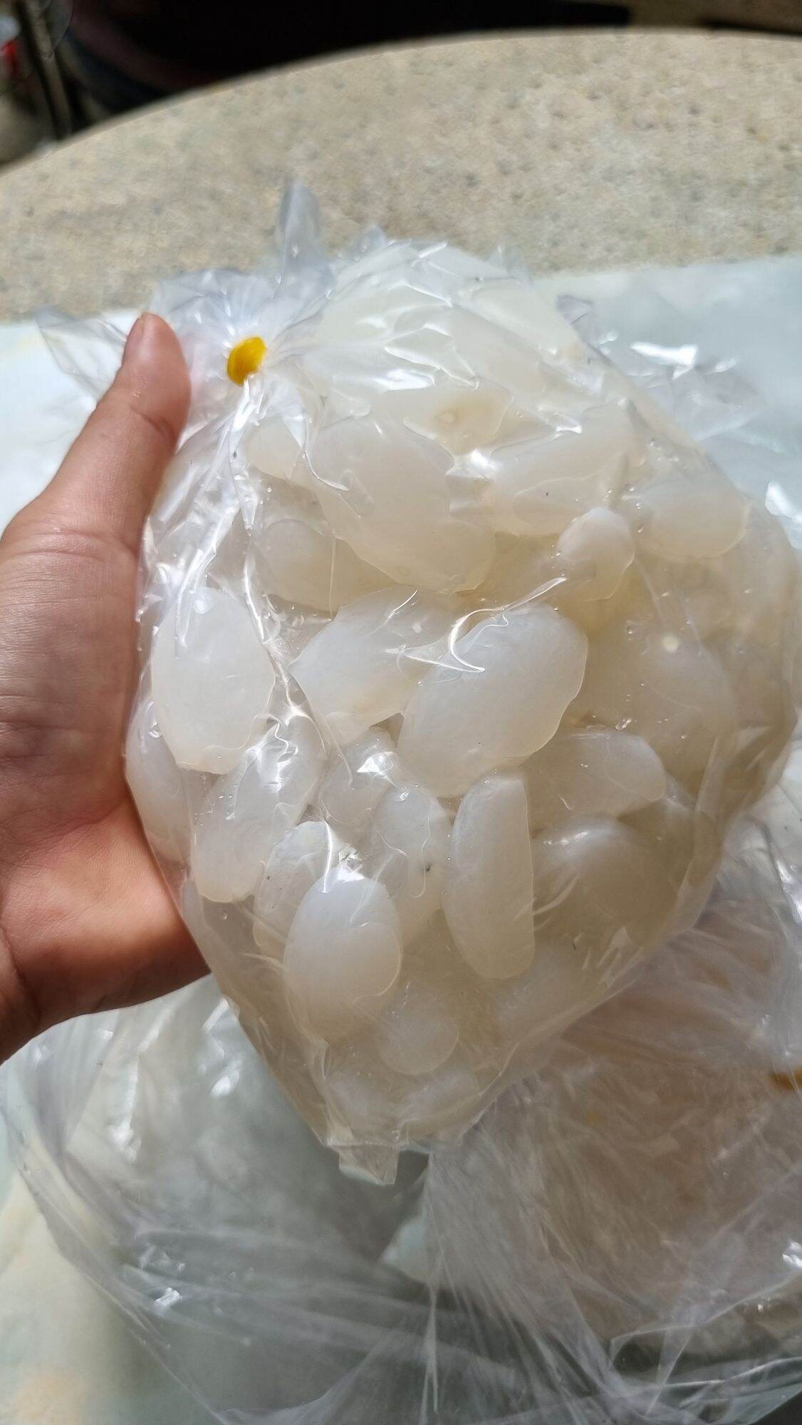 Hạt đác rừng tươi Phú Yên