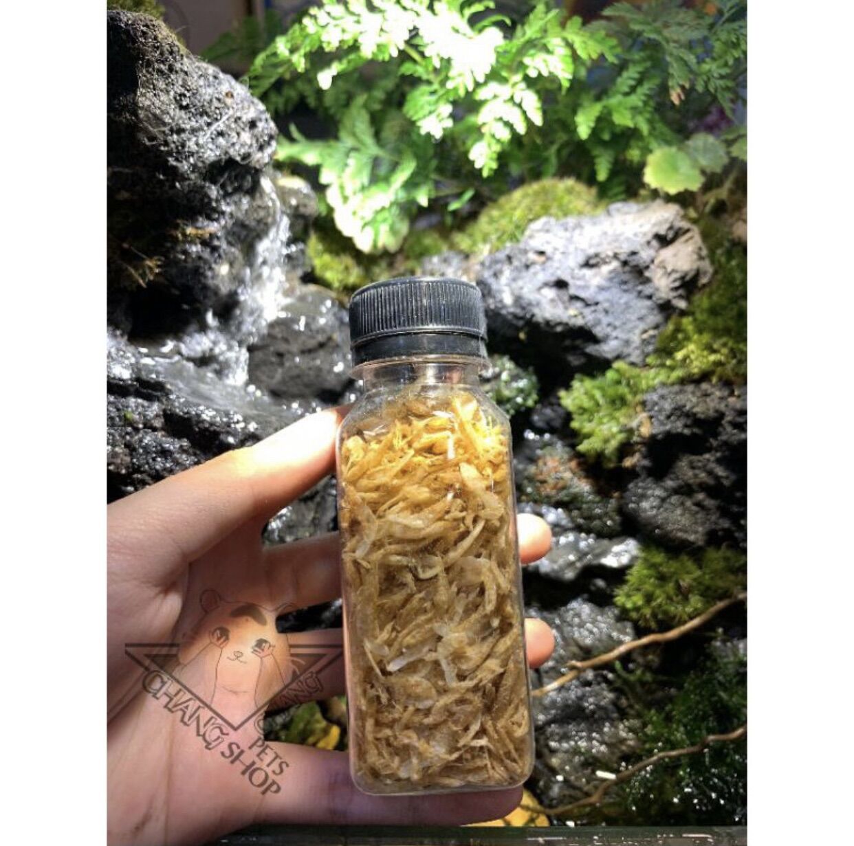 Gói 10k Tép sấy khô dành cho hamster 20g