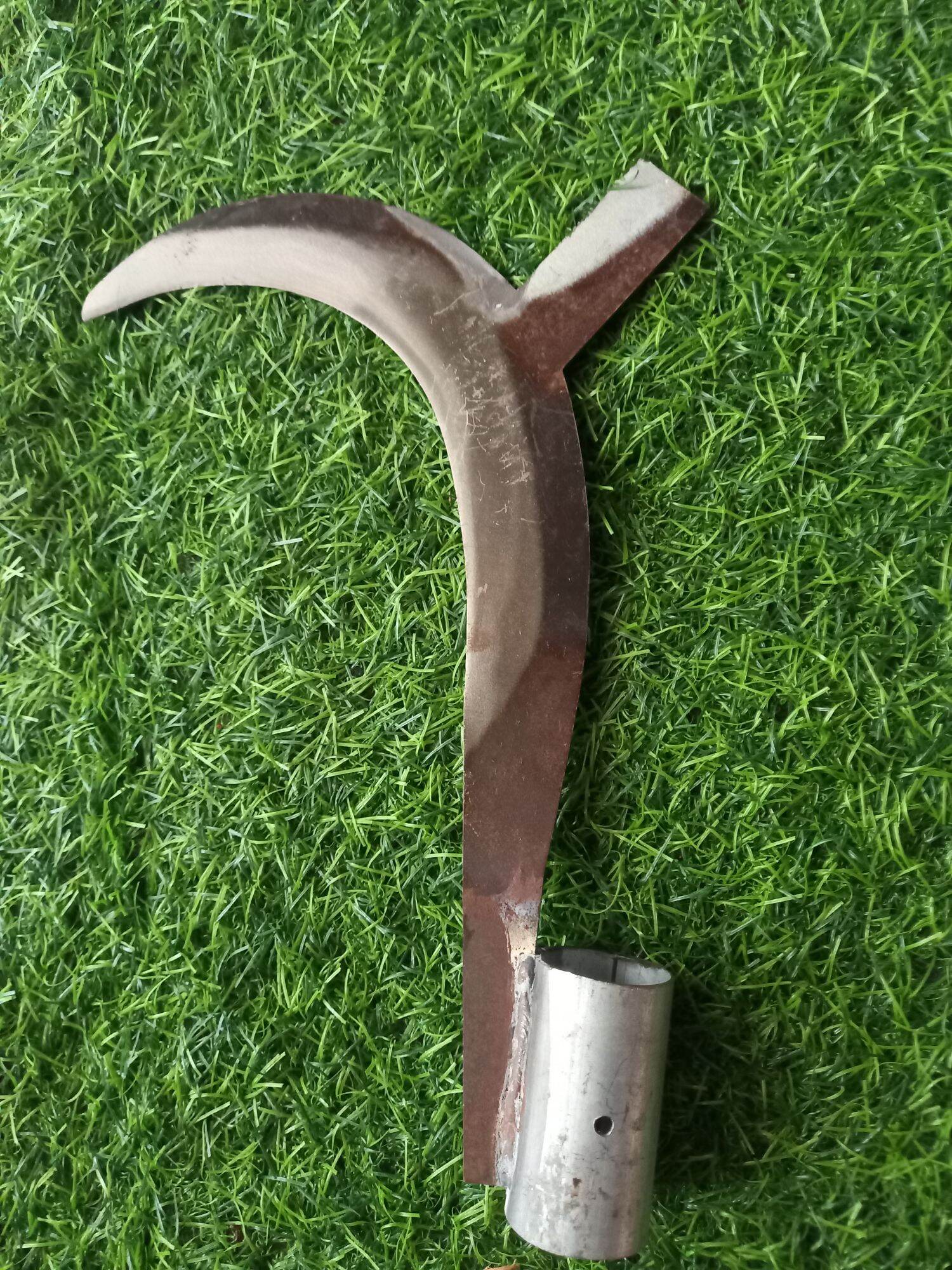Câu liêm giựt nhánh cây lớn