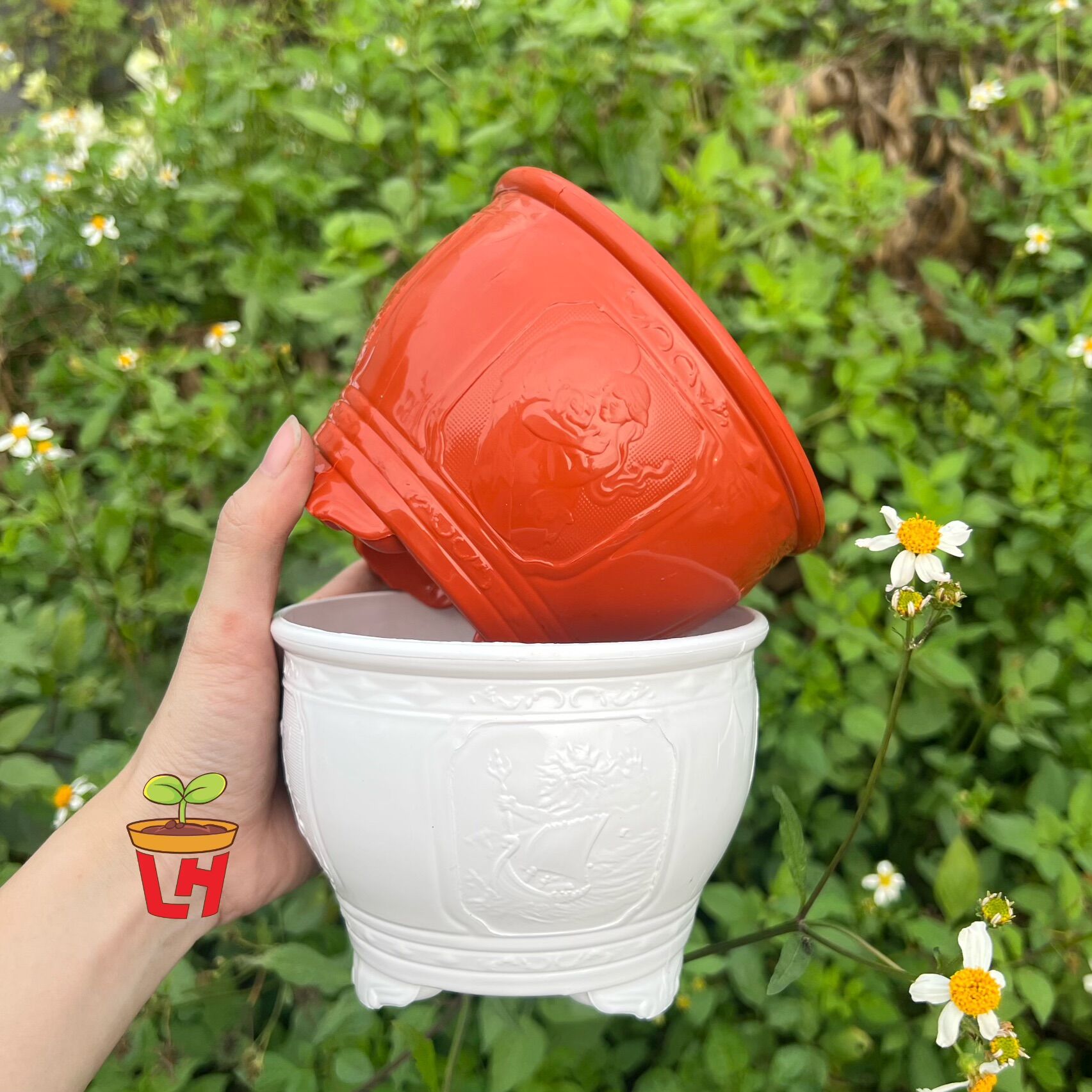 Chậu nhựa trồng cây , chậu nhựa mini trồng sen đá, xương rồng, dày cao cấp