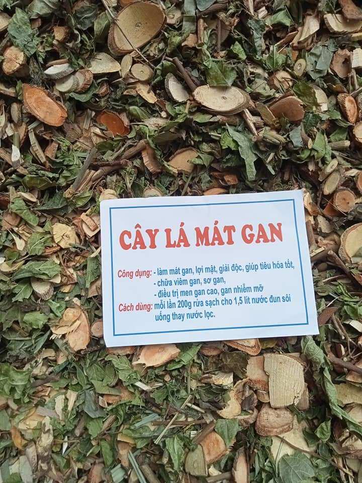 1kg cây lá mát gan tây bắc