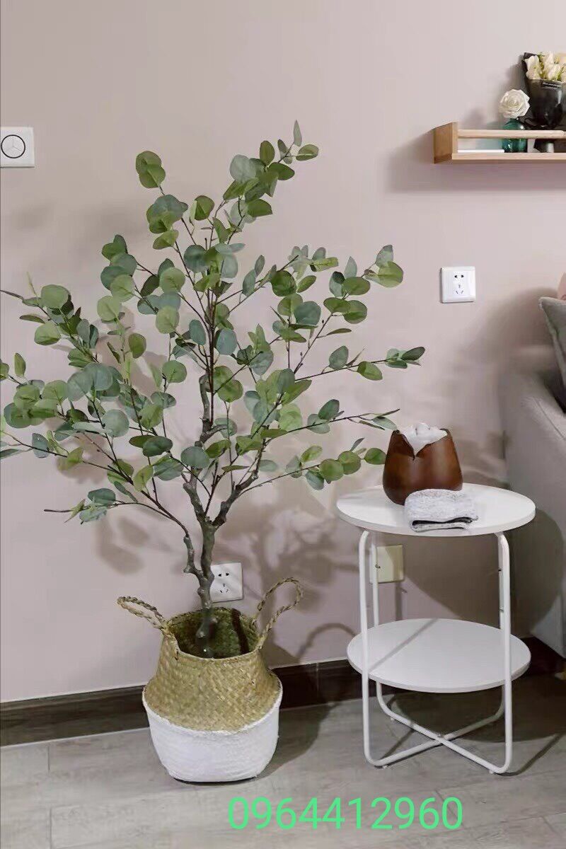 Cây giả cây bạch đàn trang trí 130cm hằng decor