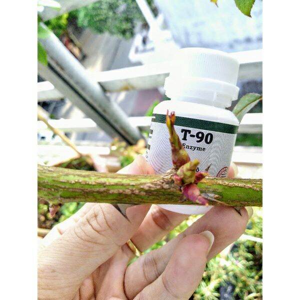 Chế phẩm t90 siêu thúc bật mầm lọ 10ml