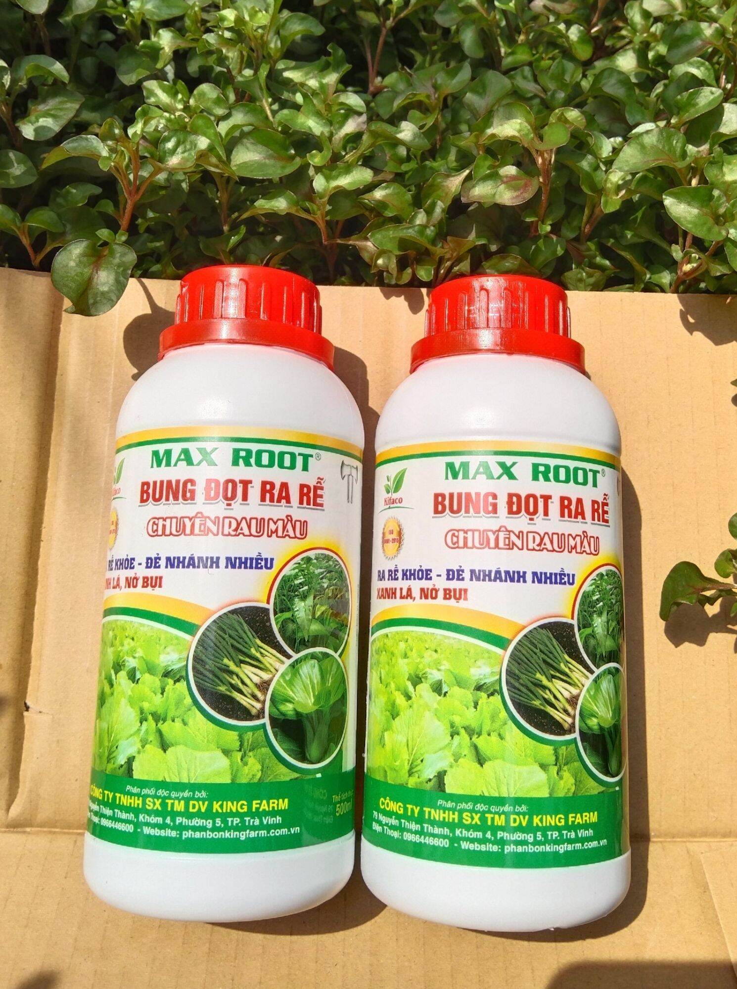 2 chai bung đọt ra rễ chuyên rau màu chai 500ml