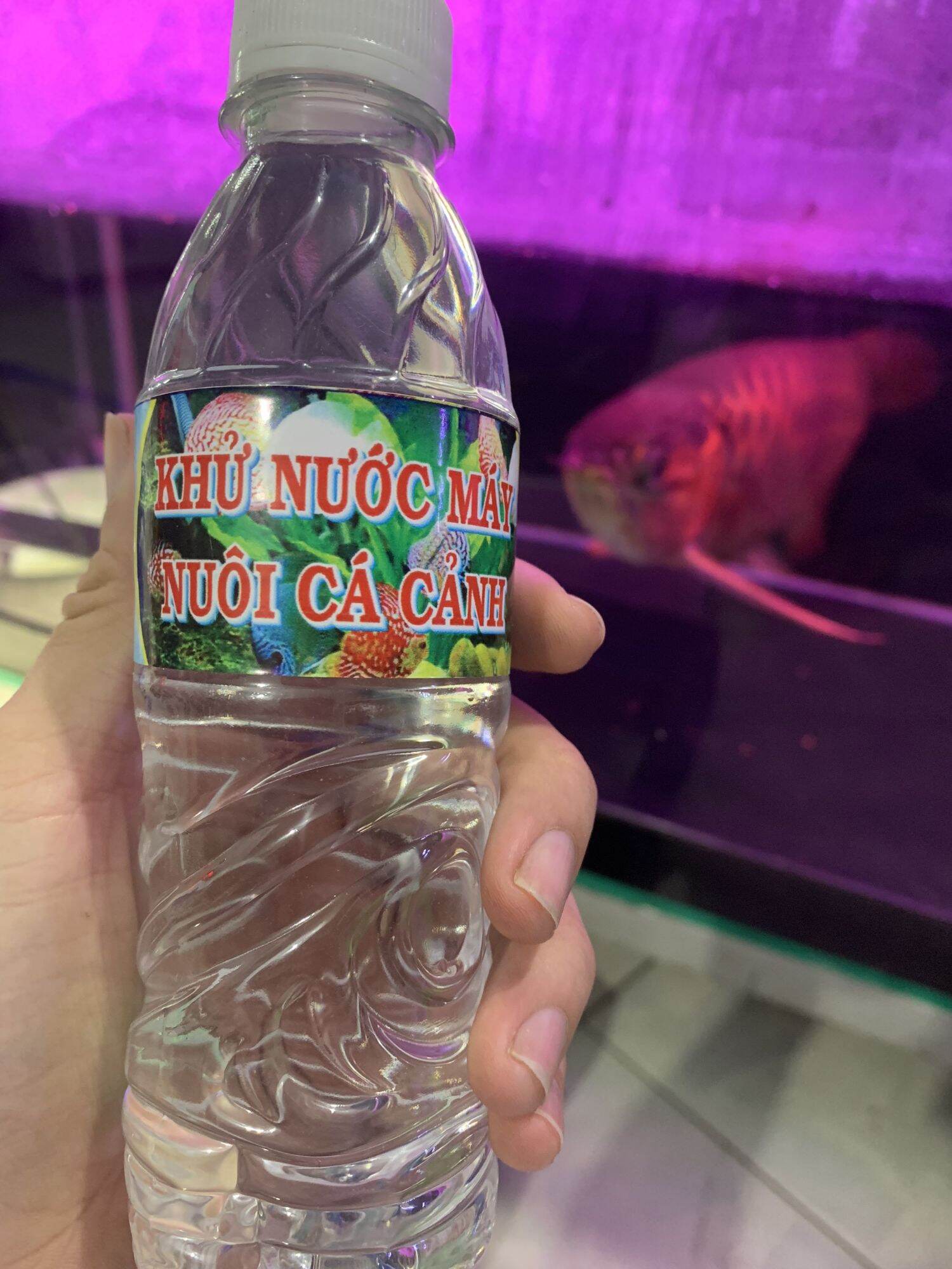 Khử Nước Máy Nuôi Cá Cảnh