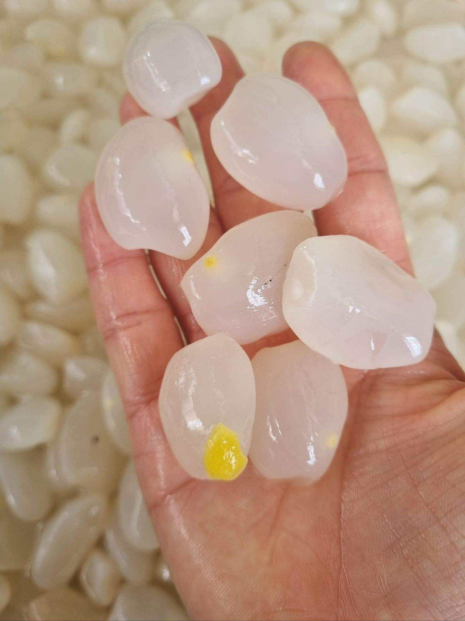 Hạt Đác Tươi 1kg Hột Đác Tươi Size Chuẩn Hạt Lớn Dẻo Chuẩn Hạt Rim