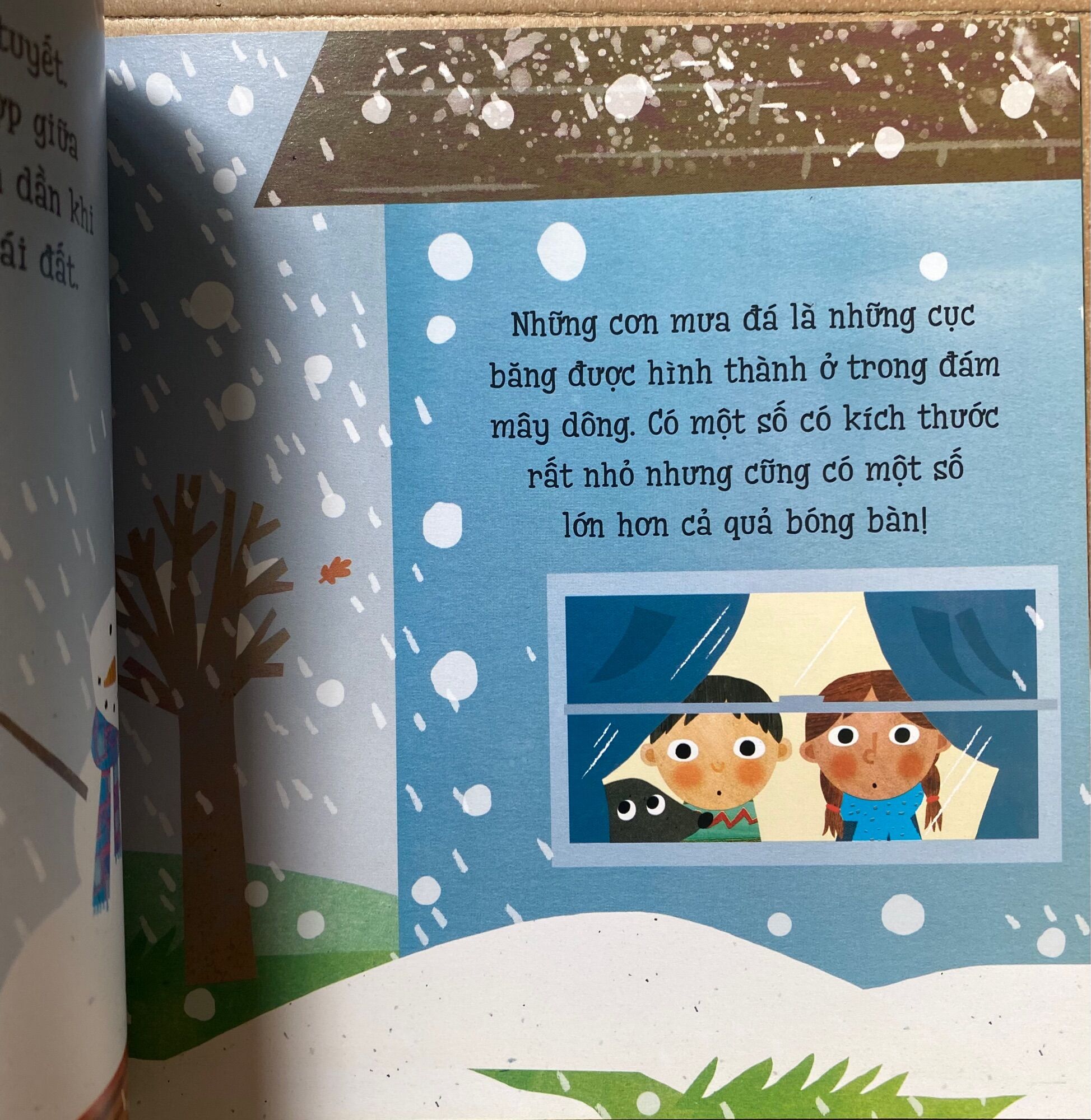 Vòng Đời - Kì Diệu Của Thời Tiết