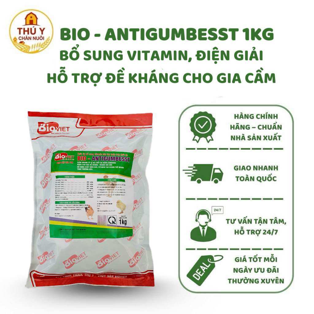 BIO ANTIGUMBESST 1KG (10 Túi x 100g) Bổ Sung Vitamin, Điện Giải Cho Gia Cầm | Hỗ Trợ Phục Hồi, Tăng Đề Kháng