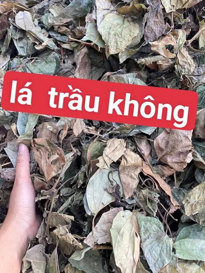 1kg Lá Trầu Không phơi khô cây nhà lá vườn