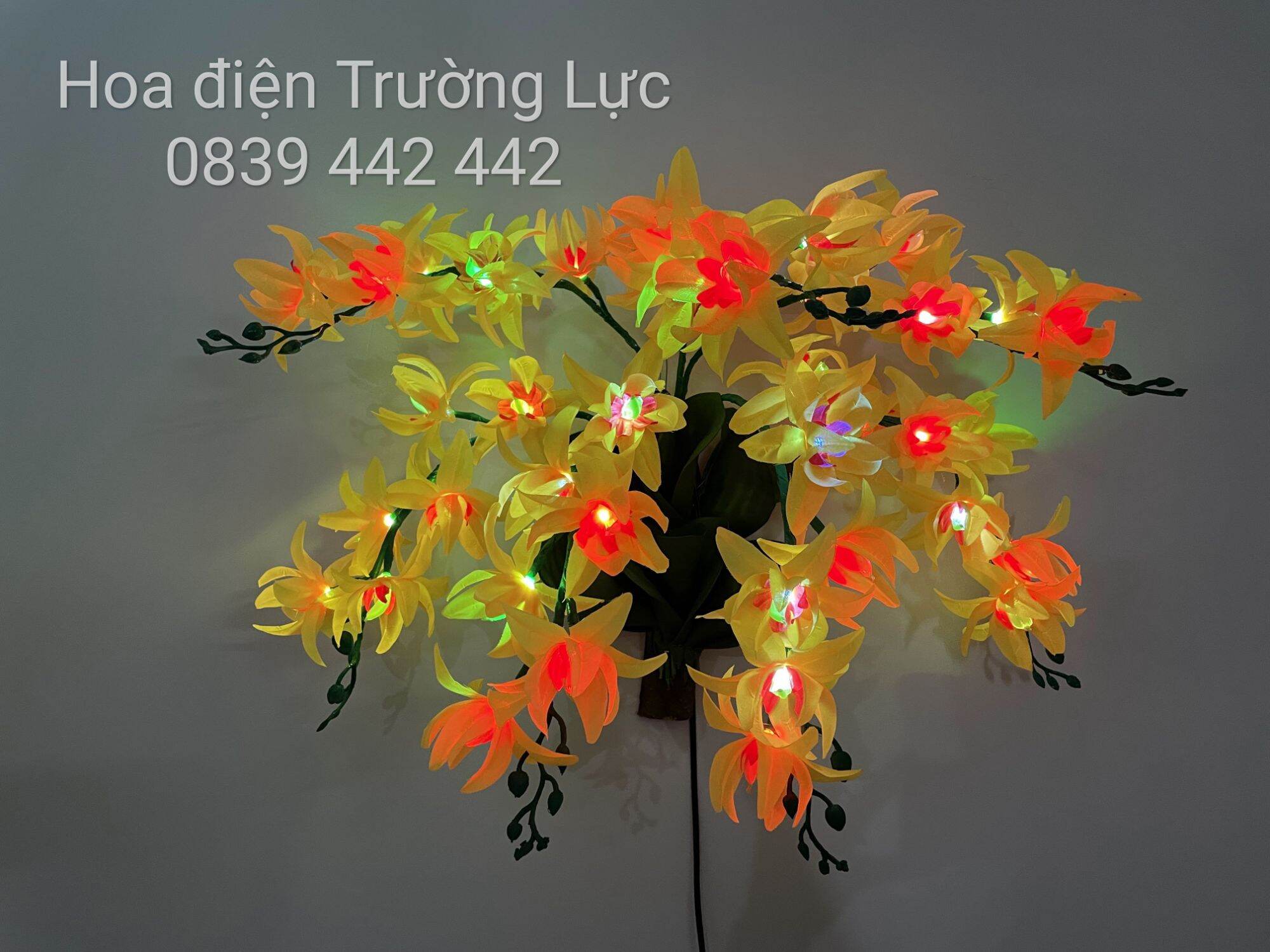 Hoa Lan Treo Tường - Hoa Trang Trí Có Đèn