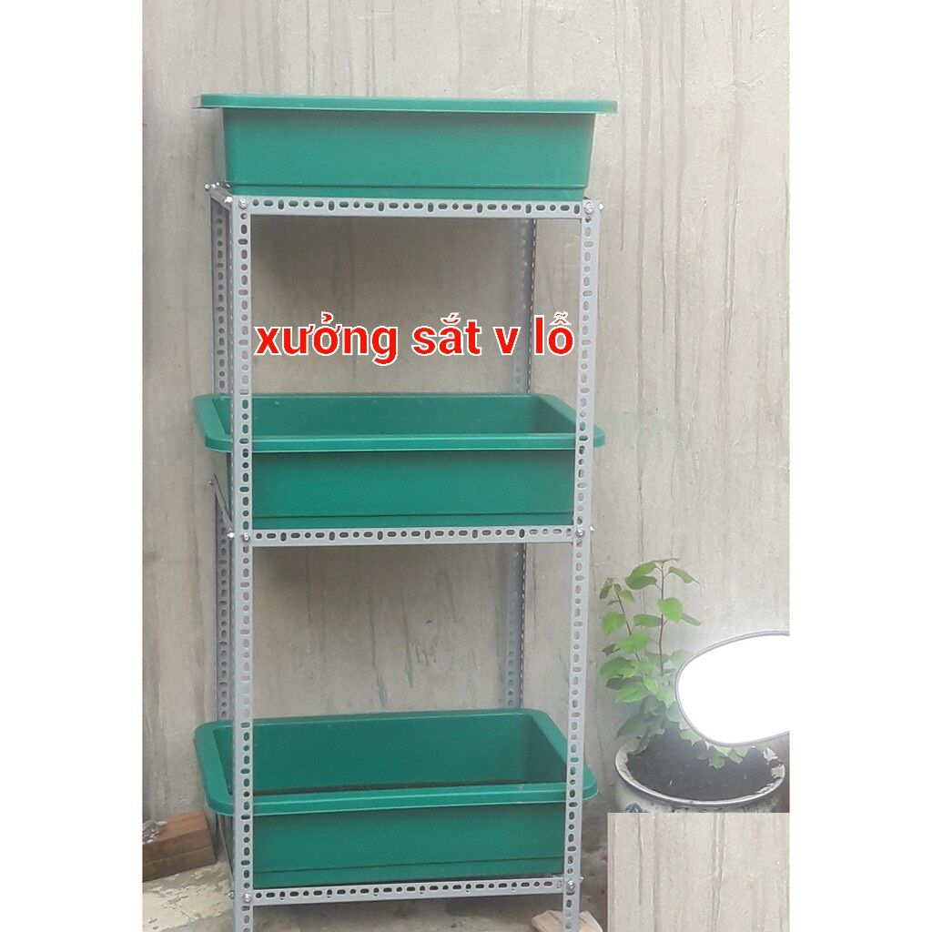 Cây 60cm -SẮT V LỖ V3x3cm