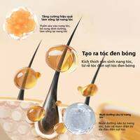 LIDAORIJI | Dầu Gội Ngăn Rụng Tóc  Tăng Cường