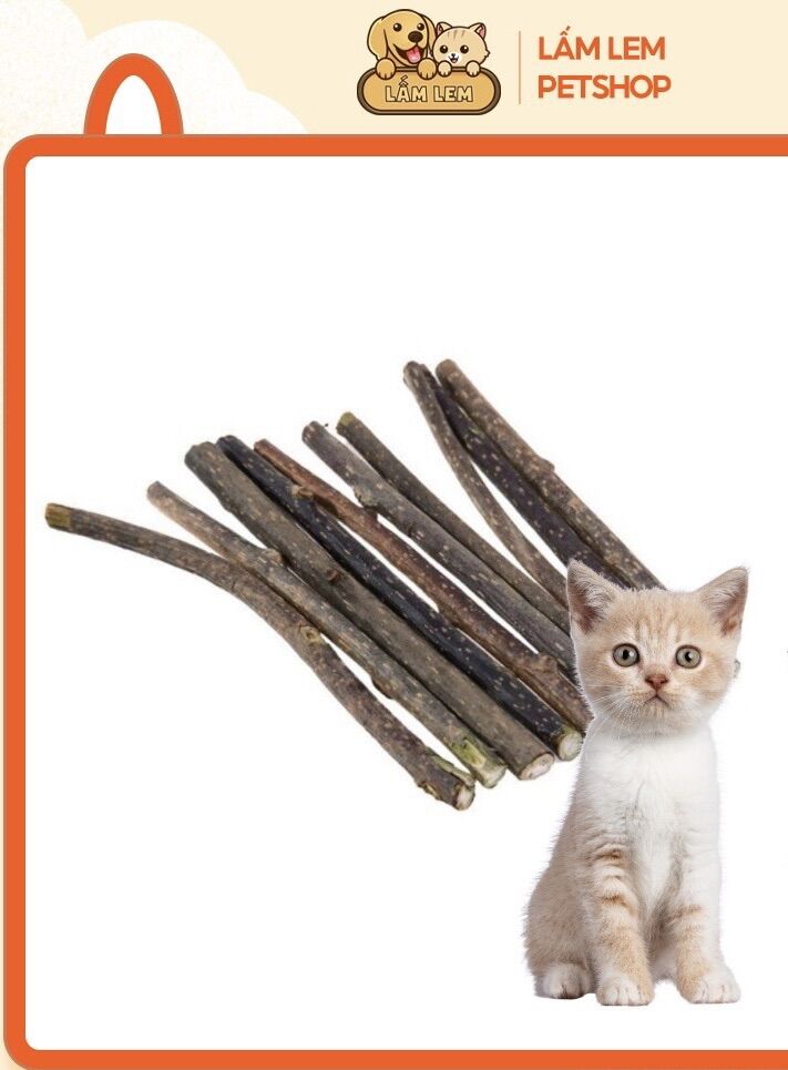 Set 5 que gỗ catnip bạc hà cho mèo, giúp mèo nhai sạch, trắng răng